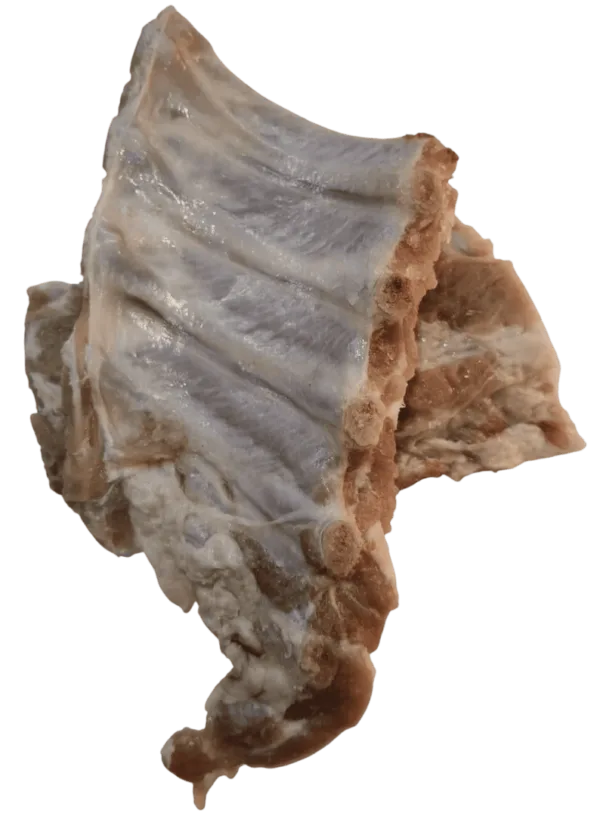 Costilla cerdo salado