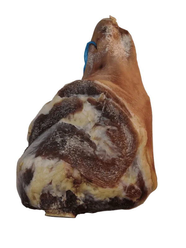 Lacón
