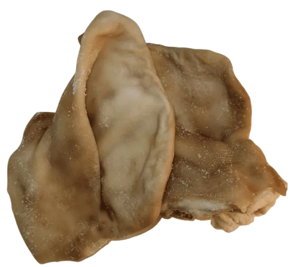 Oreja